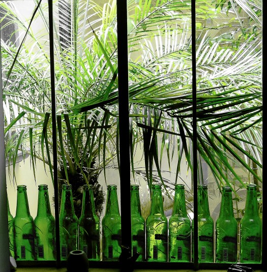 11 botellas de cerveza.