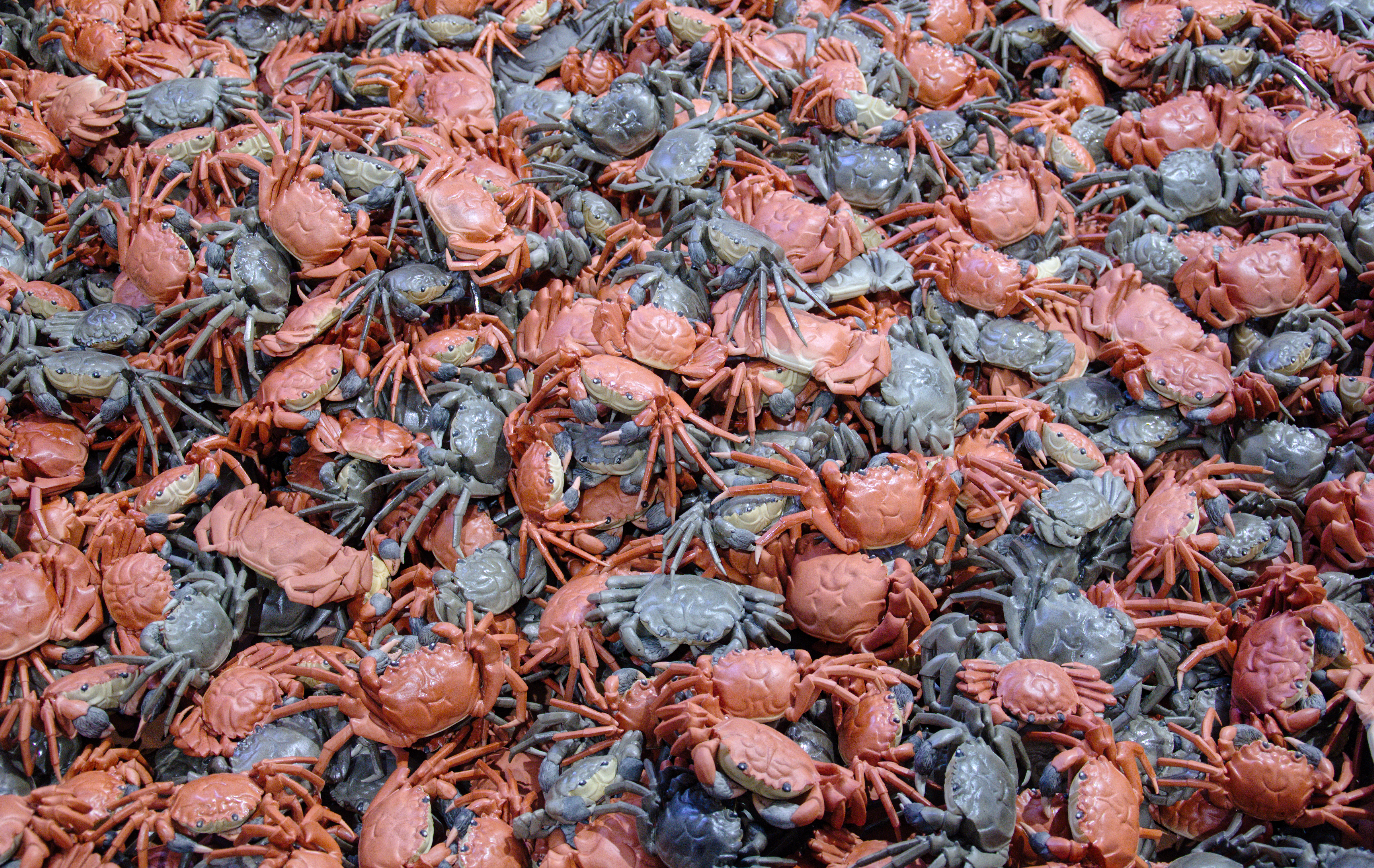 Cangrejos (hie xie) de porcelana. Exposición Libero.